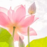 日記はじめ