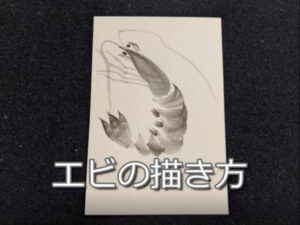 【12日目】100日後に墨絵が上達する柴犬「エビ」 (shrimp)