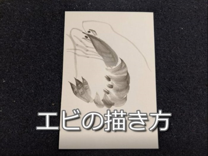 【12日目】100日後に墨絵が上達する柴犬「エビ」 (shrimp)