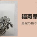 【20日目】100日後に墨絵が上達する柴犬「福寿草」 (Adonis ramosa)