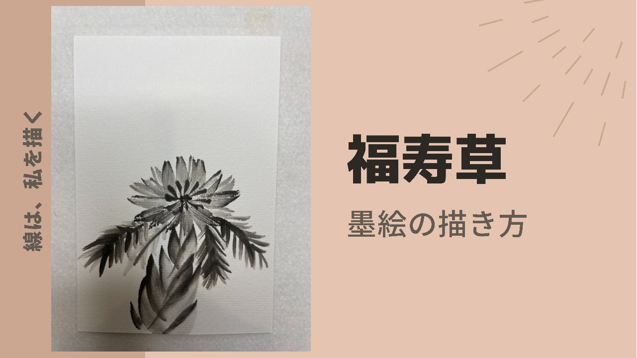 【20日目】100日後に墨絵が上達する柴犬「福寿草」 (Adonis ramosa)