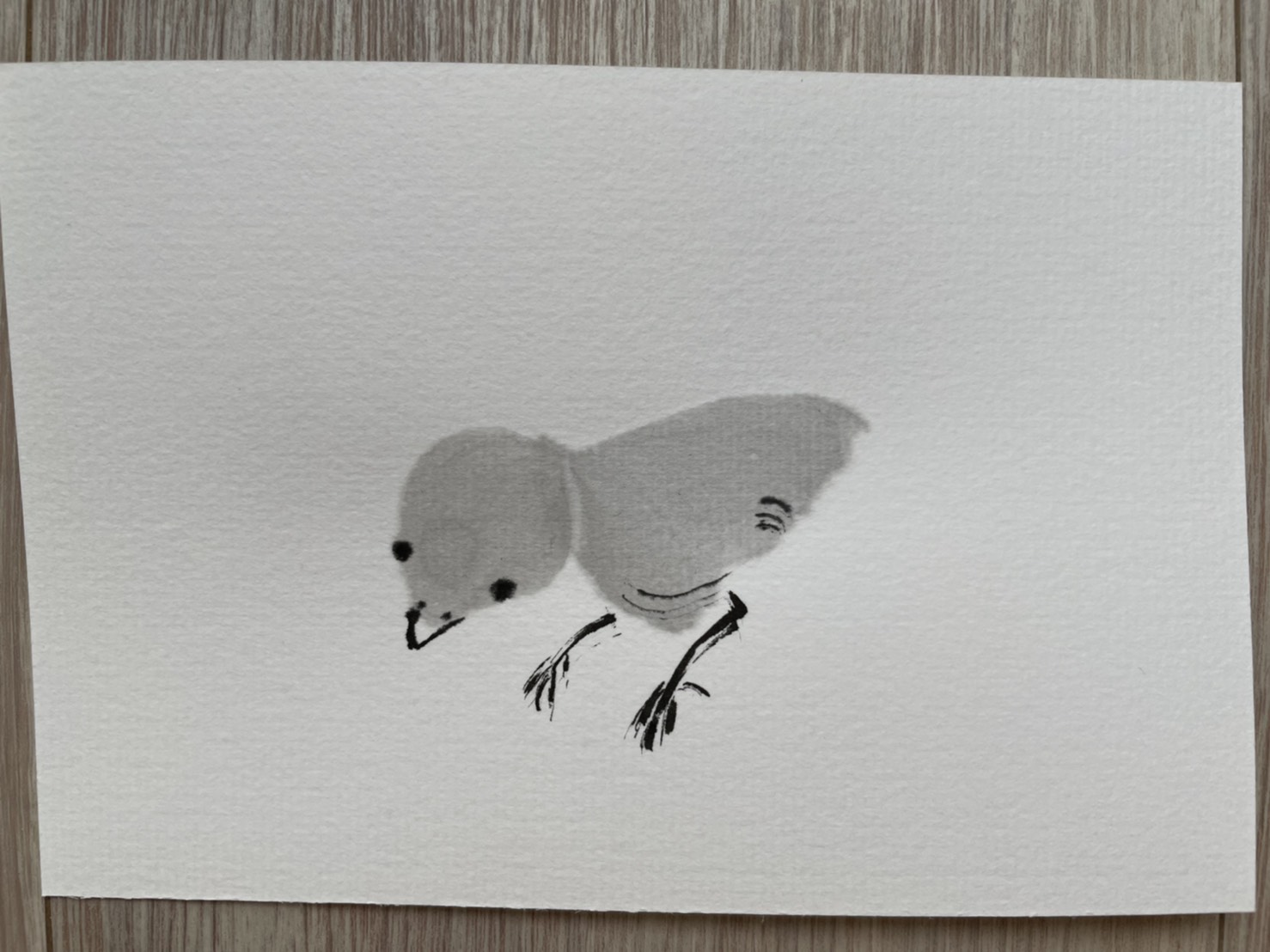 31日目 100日後に墨絵が上達する柴犬 ひよこ Chick 竹田繭香 線は 私を描く 墨幽玄の世界 墨絵 水墨画 描き方講座 アーティスト 画家