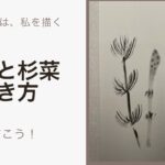 【34日目】100日後に墨絵が上達する柴犬「土筆と杉菜」 (Horsetail & Field horsetail)