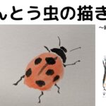 【37日目】100日後に墨絵が上達する柴犬「てんとう虫」 (Ladybug)
