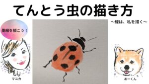 【37日目】100日後に墨絵が上達する柴犬「てんとう虫」 (Ladybug)