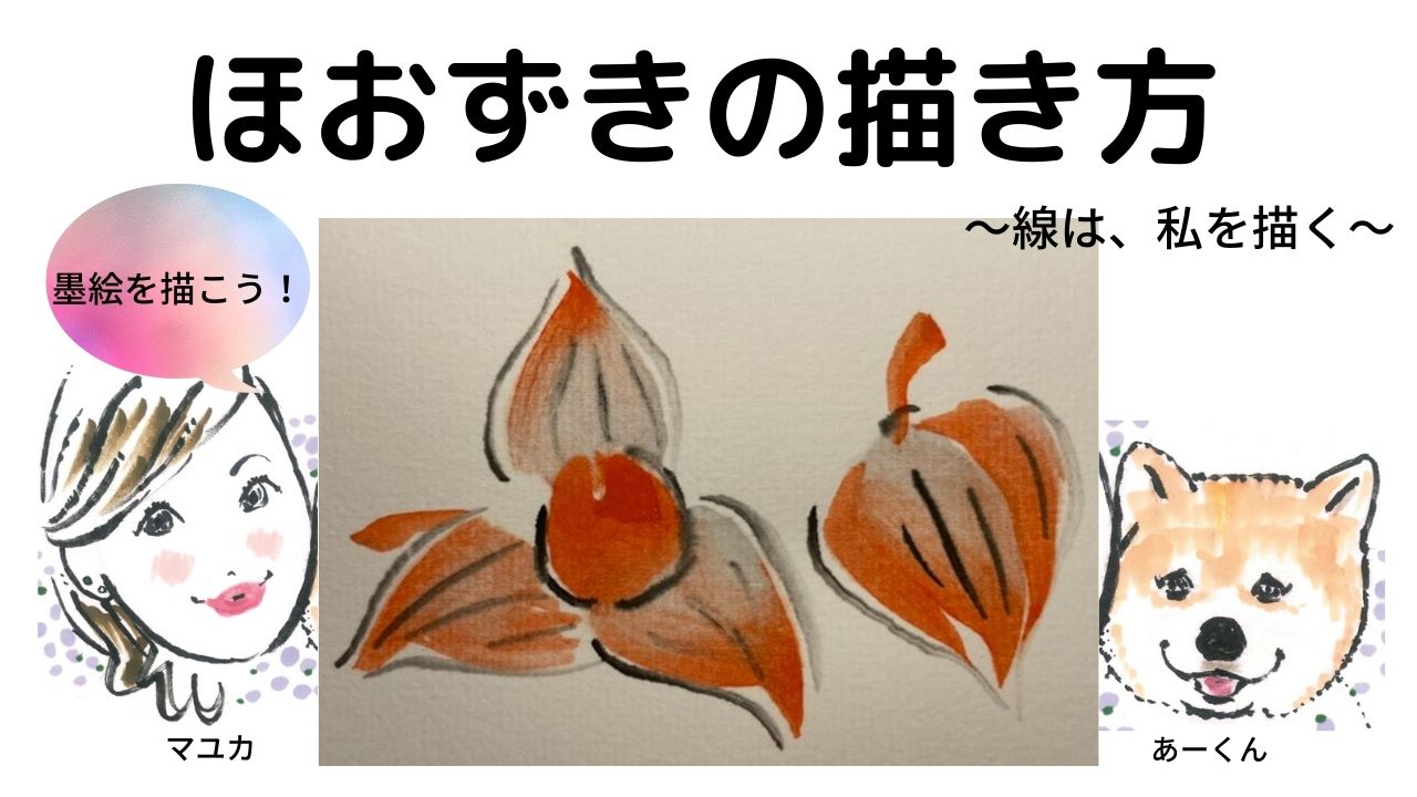 【41日目】100日後に墨絵が上達する柴犬「ほおずき」 (Bladder cherry)