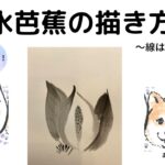 【48日目】100日後に墨絵が上達する柴犬「水芭蕉」 (Skunk cabbage)