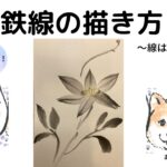 【49日目】100日後に墨絵が上達する柴犬「鉄線」 (Clematis florida)