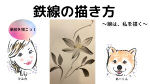 【49日目】100日後に墨絵が上達する柴犬「鉄線」 (Clematis florida)