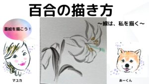 【51日目】100日後に墨絵が上達する柴犬「百合」 (Lily)